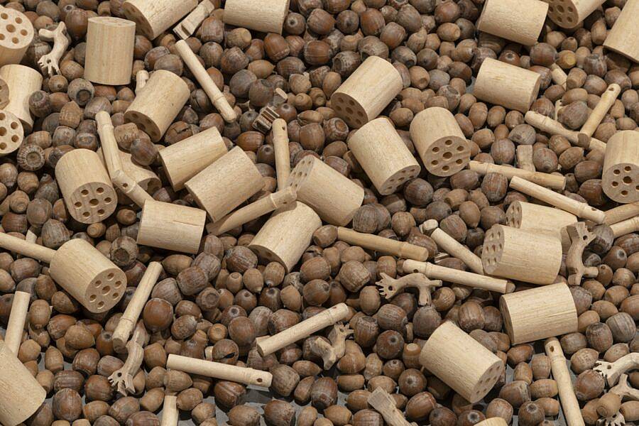 Kevin Hernandez Rosa LVL3 2025